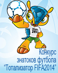  FIFA 2014